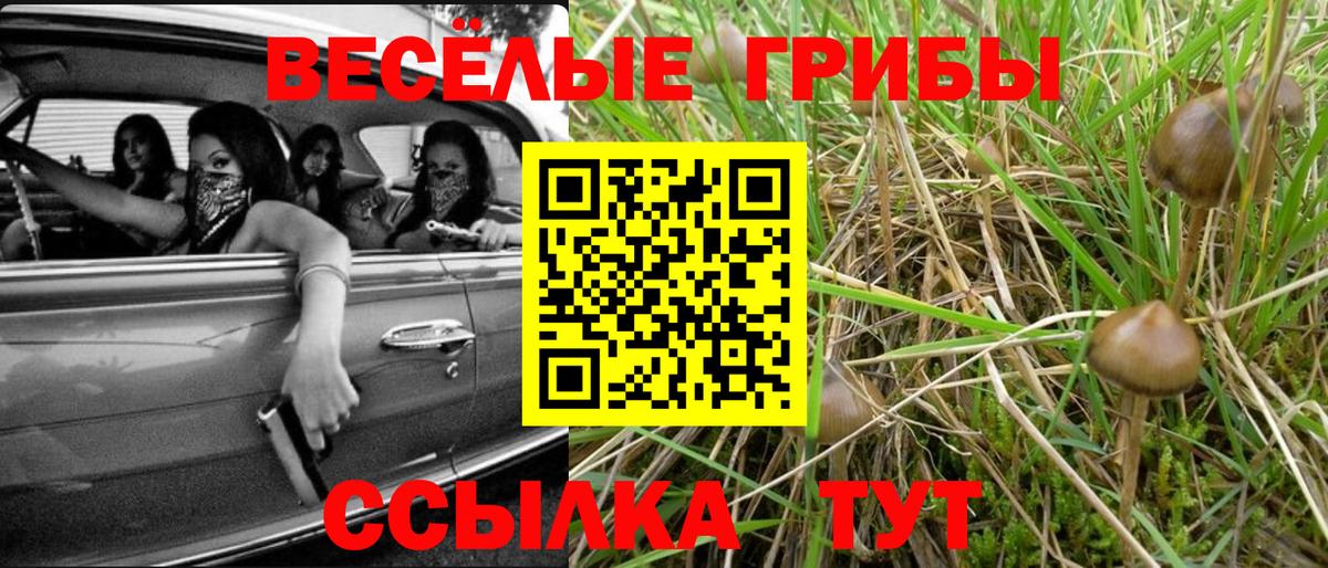 Псилоцибиновые грибы мухоморы Аша